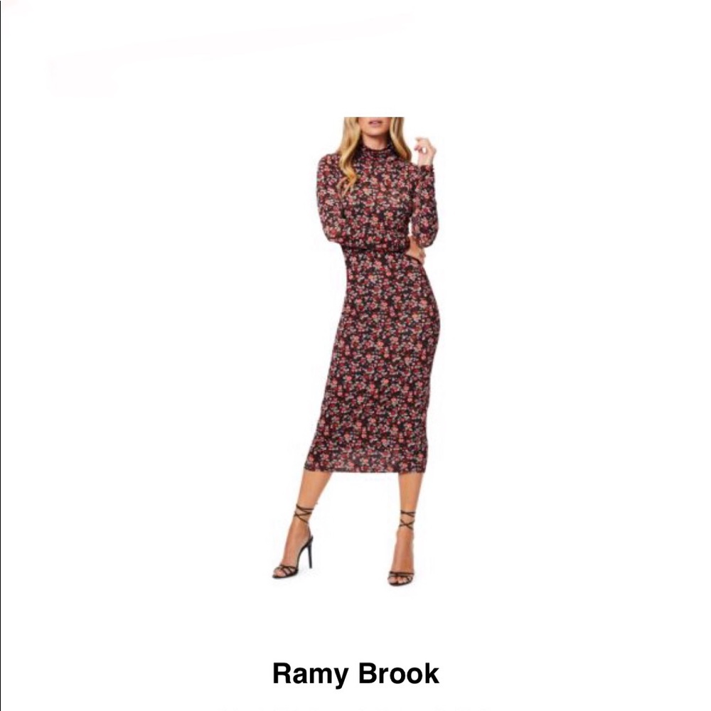 Midi Lined mesh midi dress Ramy Brook